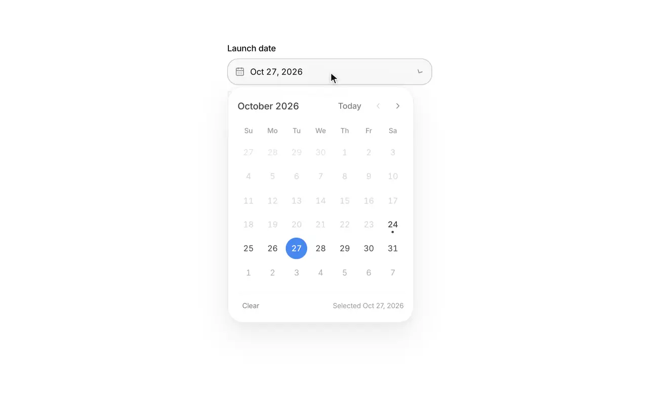 Date picker preview